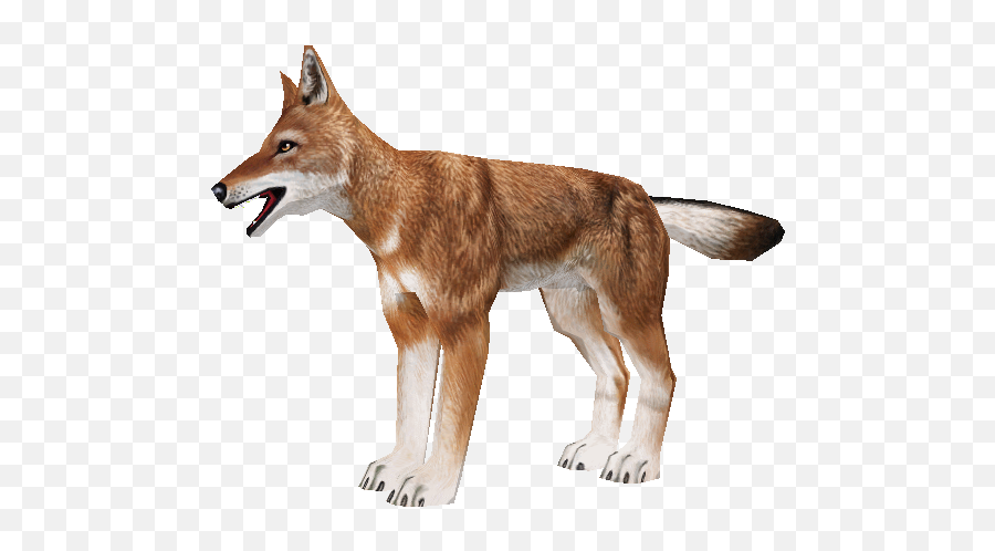 Pc Computer - Ethiopian Wolf Transparent Background Png,Zoo Tycoon 2 Icon