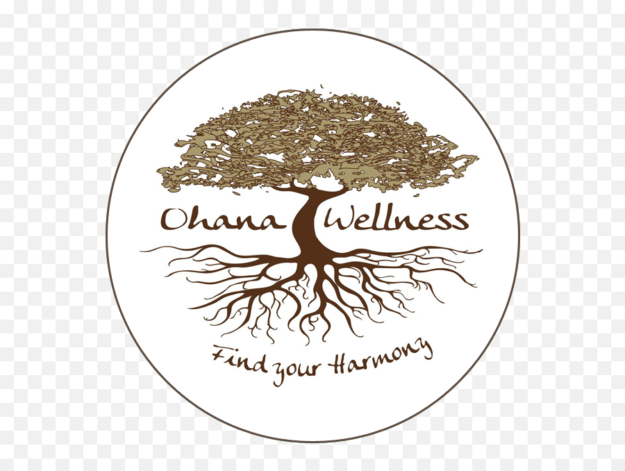 Ohana - Icon Ohana Wellness Bethesda Language Png,Bethesda Icon