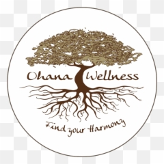 Ohana - icon Ohana Wellness Bethesda Language png