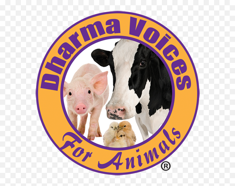 Sponsors U0026 Vendors Sonoma County Veg Fest - Dharma Voices For Animals Png,Dva Rabbit Icon