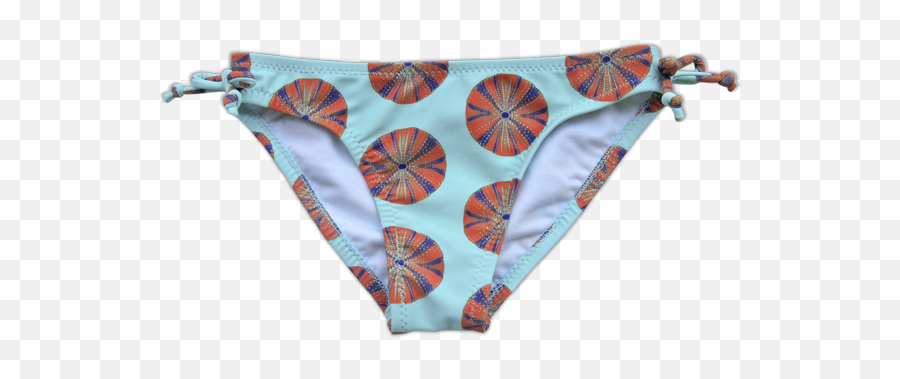 Sea Urchin Png - Sea Urchin Bikini Bottom Panties Underpants,Bikini Transparent Background