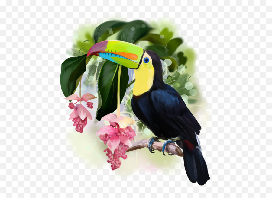 Download Hd Toucan Png - Tucan,Tucan Png