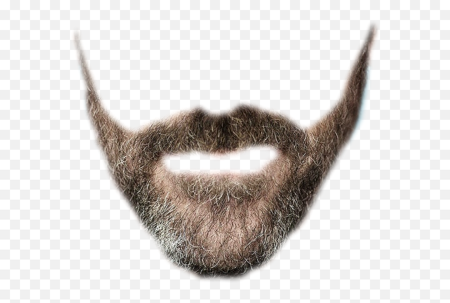 Whiskers And Beard Png - Transparent Background Beard Png,Whiskers Png