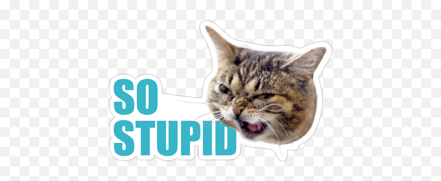 Download Free Png So Stupid - Please Stop Hyperbole And A Half,Stupid Png