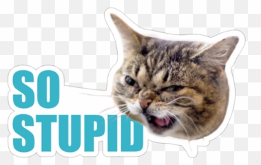 Download Free Png So Stupid - Please Stop Hyperbole And A Half,Stupid Png