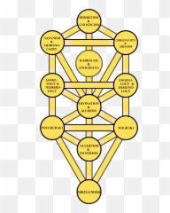 Tree Of Life Transparent Png Image - Sefirot Png,Tree Of Life Png