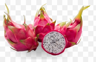 Download Dragon Fruit - Pitaya Png,Dragonfruit Png