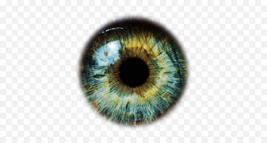 Green Eyes Png - Eye Lens Png,Green Eye Png