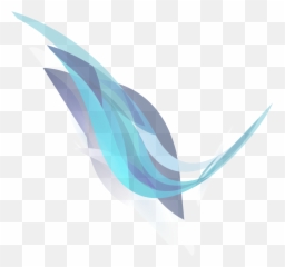Swoosh - Walton Dodge Forensic Graphic Design png