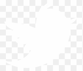 Free Transparent White Twitter Logo Transparent Images Page 1 Pngaaa Com