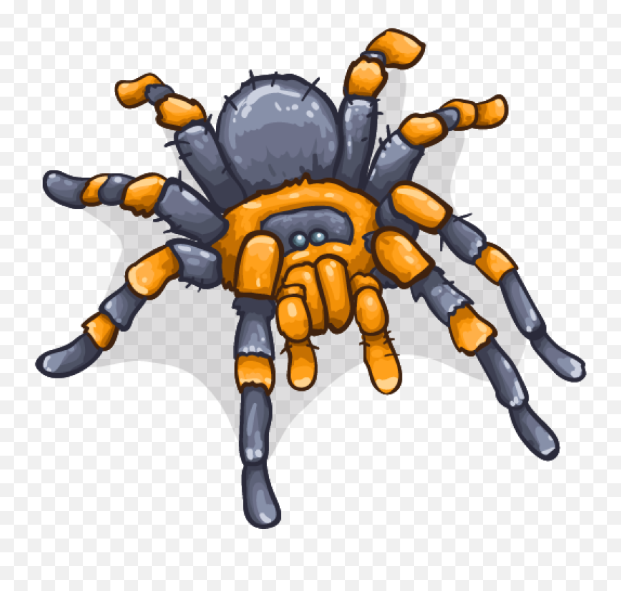 Download Hd Tarantula - Drawing Transparent Png Image Tarantula Animada Png,Tarantula Png