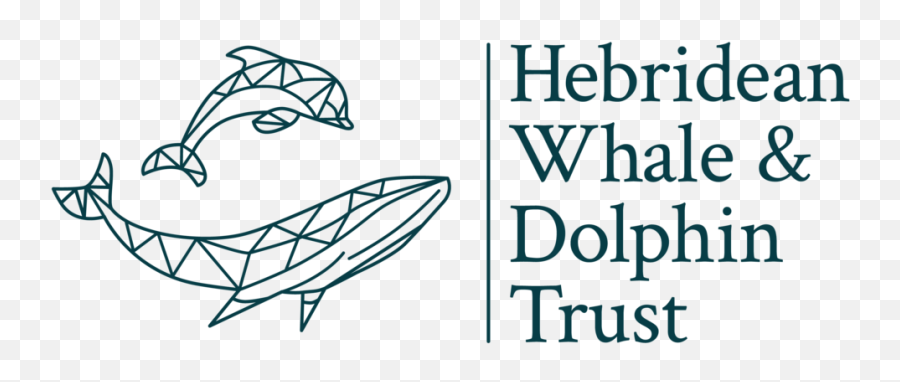 Hebridean Whale U0026 Dolphin Trust And Png Dolphins Logo