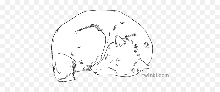 Dog Laying Down Sleeping Shiba Inu - Dog Laying Down Drawing Png,Shiba Inu Transparent