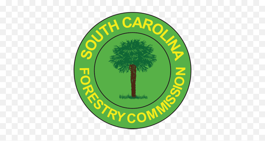South Carolina Forestry Commission Home Page - South Carolina Forestry Commission Png,South Carolina Png
