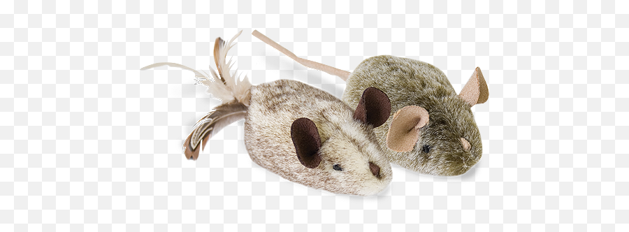 Play N Squeak Cat Toys - Twice The Mice Petistorecom Transparent Cat Toys Png,Transparent Cat