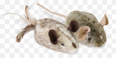 Play N Squeak Cat Toys - Twice The Mice Petistorecom Transparent Cat Toys Png,Transparent Cat
