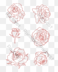 Rose Vector Templates Free Psd U0026 Png Download - Pikbest Hand Painted