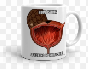 How Is This A Fucking Meme Picture - Scumbag Bladder Make Urinary Bladder Png,Scumbag Hat Png
