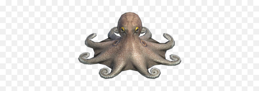 Octopus Deep - Sea Creature Animal Crossing Wiki Fandom Poulpe Animal Crossing New Horizon Png,Sea Monster Icon