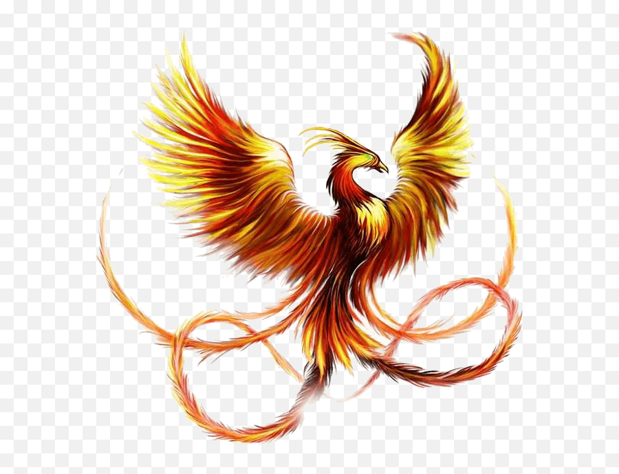 Download Tattoo Sleeve Phoenix Fenghuang Ink Firebird Hq Png - Pheonix Tattoo,Phoenix Bird Png