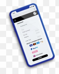 Americommerce Payments Powered By Paypal - Visualsoft Paypal Platform png