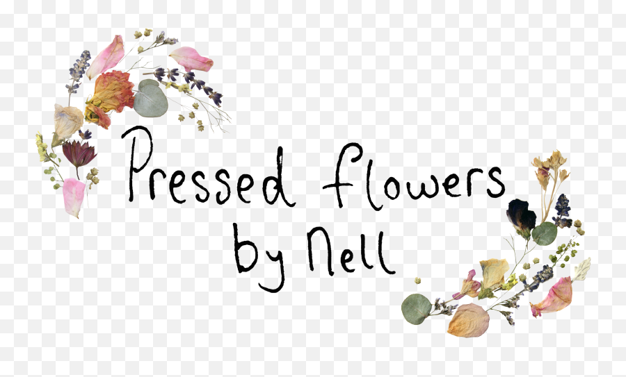 Pressed Flowers By Nell Limerick Wedding - Floral Png,Flower Icon On Facebook