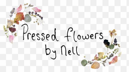 Pressed Flowers By Nell Limerick Wedding - Floral png