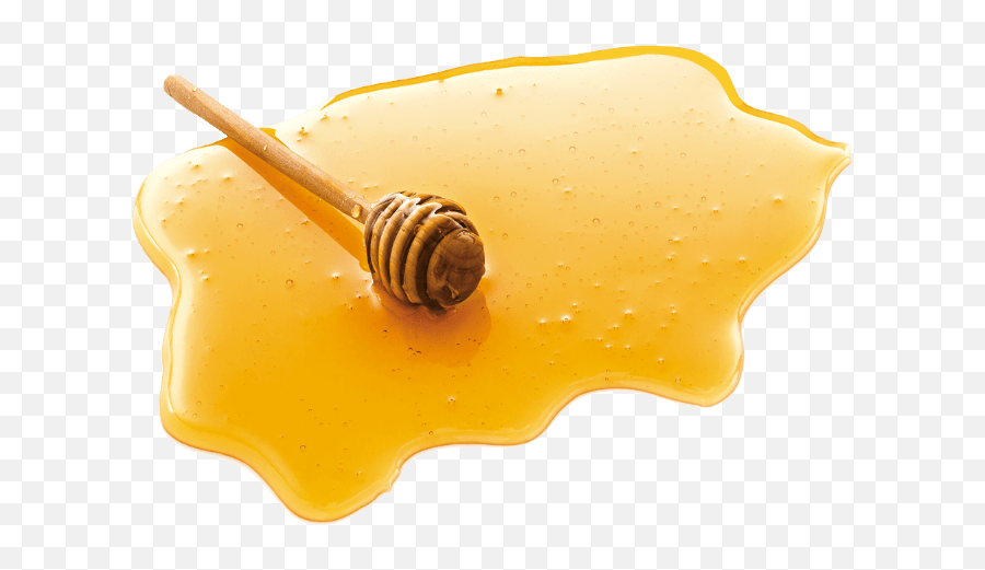 Compliments Drip From Her Mouth Like Honey Indiegogo - Honey Png,Honey Wand Icon