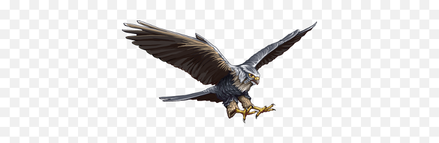 Falcon - Wesnoth Units Database Falcon Png,Peregrine Falcon Icon