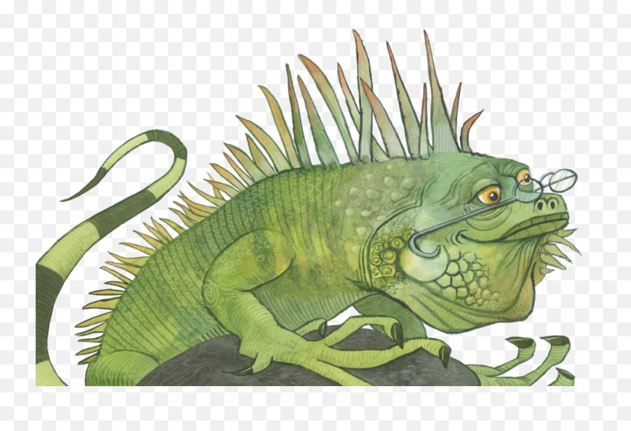 Veoleo - Iguana Png,Iguana Png