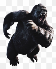 King Kong Png 1 Image - King Kong Png,Kong Png