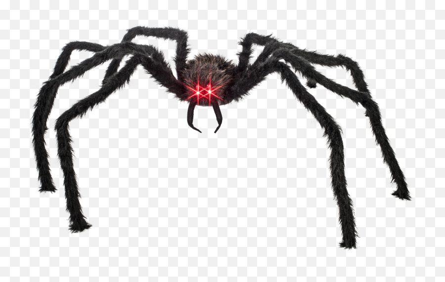 Giant Spider Transparent - Giant Spider Transparent Png,Spider Transparent