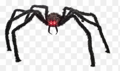 Giant Spider Transparent - png