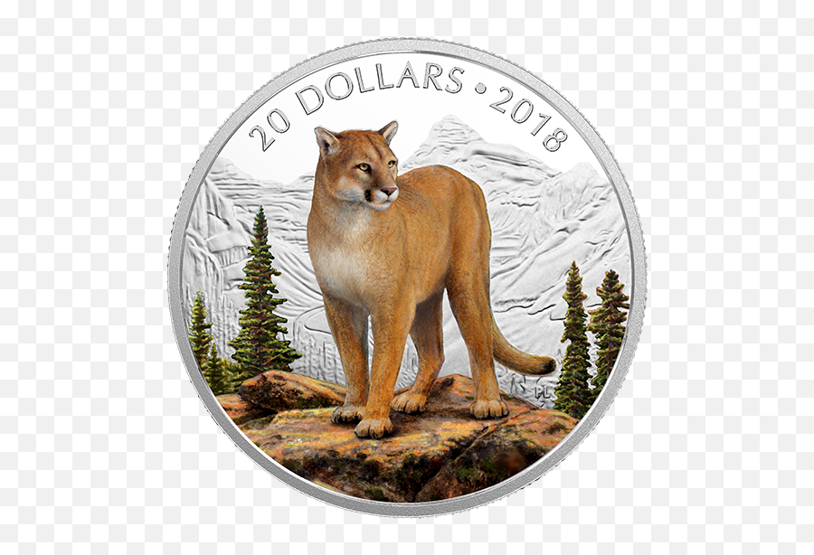 Majestic Wildlife Courageous Cougar - Mintage Cougar Png,Cougar Png