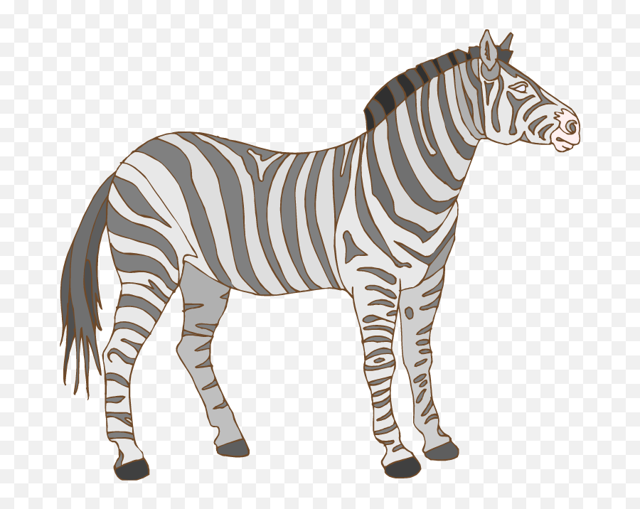 Free Zebra Transparent Download Clip Art - Clip Art Png,Zebra Transparent Background