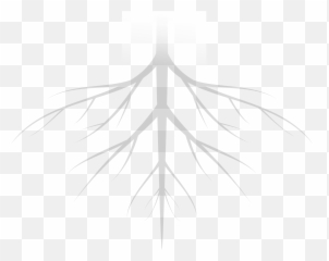 Geolite Clay Pebbles Png Download - Plant With Roots Png Transparent Plant With Roots Png,Pebbles Png