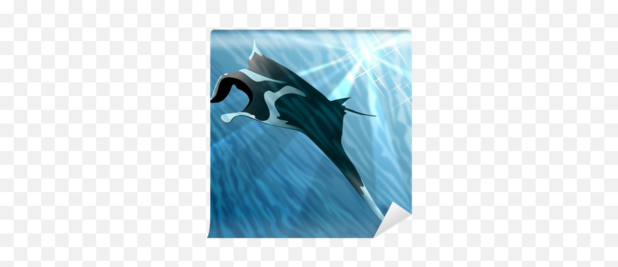 Manta Ray Wall Mural U2022 Pixers - We Live To Change Atlantic Blue Marlin Png,Manta Ray Png