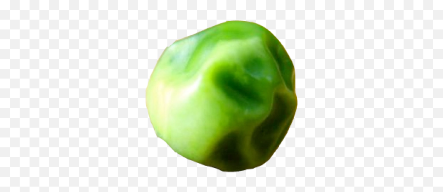 Png Image - Green Bell Pepper,Pea Png
