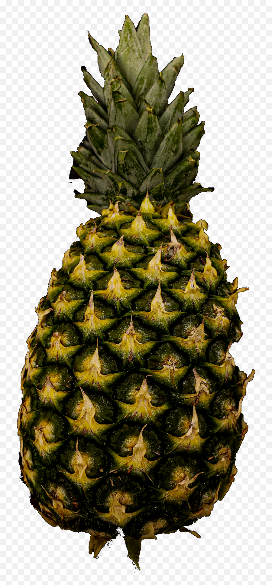 Pineapple - Public Domain Pictures Ananas Png,Pineapple Transparent Background