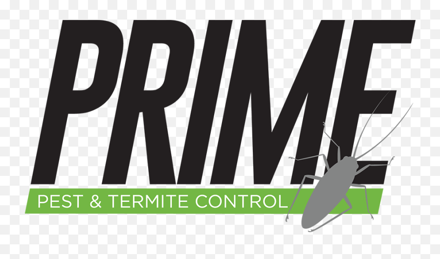 Pest And Termite Control Houston Tx Prime - Graphic Design Png,Termite Png