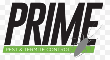 Pest And Termite Control Houston Tx Prime - Graphic Design Png,Termite Png
