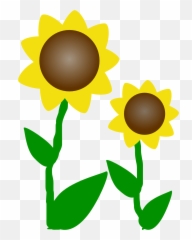 Sunflower Clip Art Clipart - Flowers png