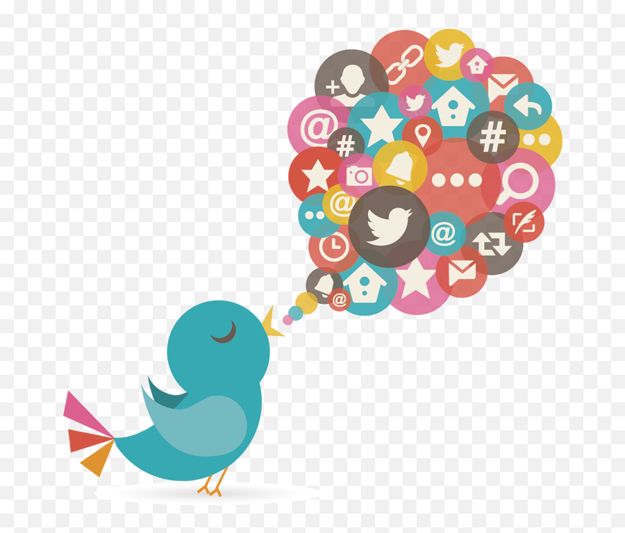 Twitter Marketing Agency In Usa Services - Social Media And Bird Png,Twiter Png