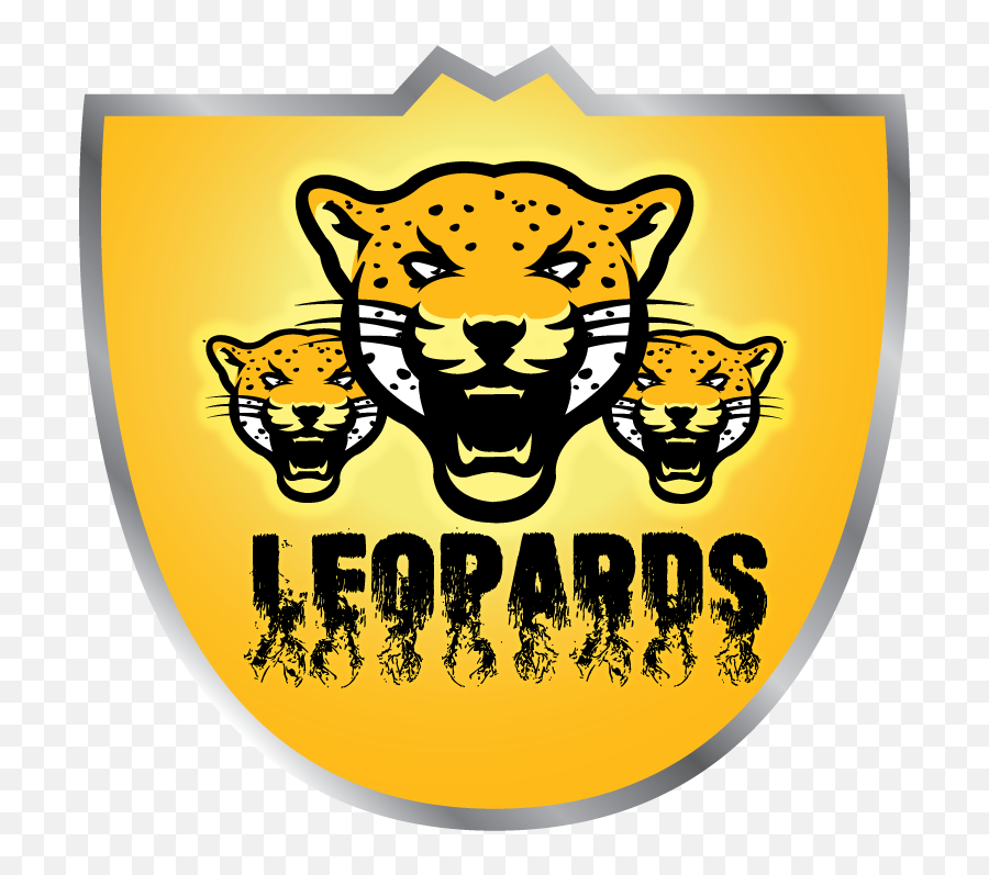 1 Twitter Logo Design Branding Materials Layout - La Verne Leopards Logo Png,Twiter Logos