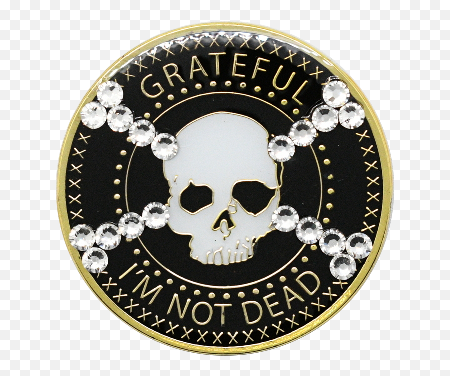 Grateful Iu0027m Not Dead Bling Recovery Medallion With Skull U0026 Cross - Solid Png,Skull And Crossbones Transparent