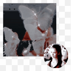 Recruitment - Photomontage png