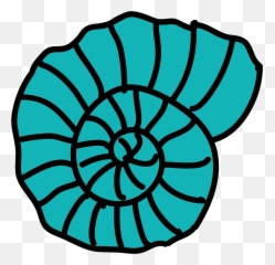 Download Hd Sea Shell Icon - Icons Transparent PNG Seashell Png