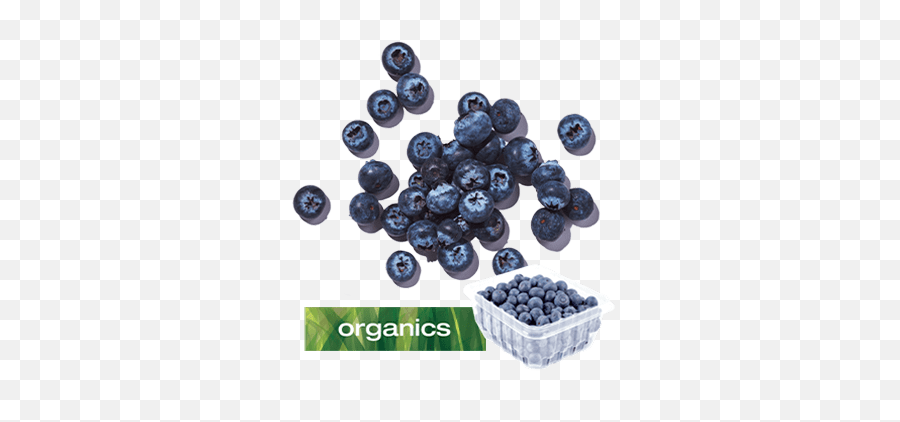 Blueberryfest 2020 Longou0027s - Maqui Png,Blueberries Icon
