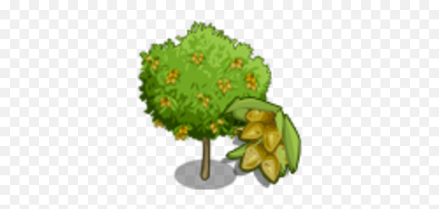 Almond Tree Farmville Wiki Fandom - Fruit Png,Almonds Icon