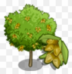 Almond Tree Farmville Wiki Fandom - Fruit png